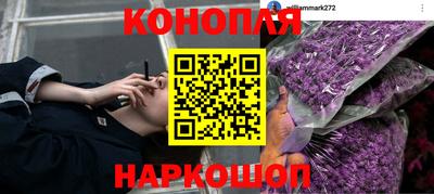 мет Камышлов