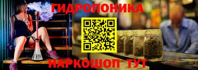 мяу мяу мука Кандалакша