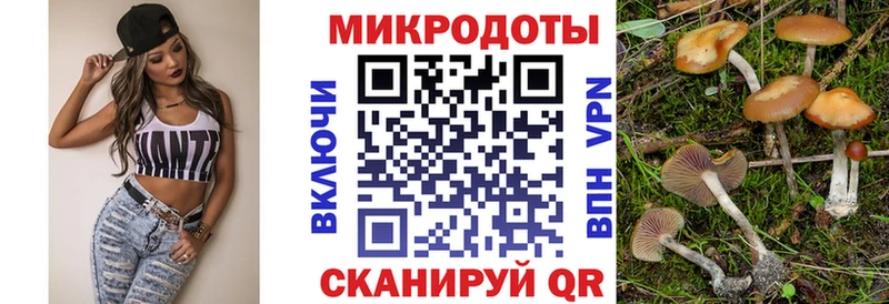 продажа наркотиков  Приморско-Ахтарск  Псилоцибиновые грибы Magic Shrooms 