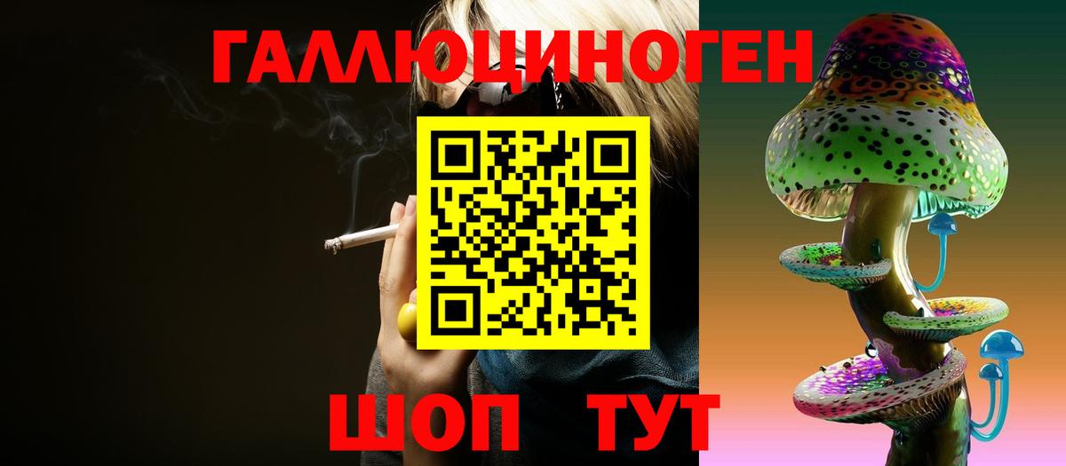 Галлюциногенные грибы Psilocybine cubensis Приморско-Ахтарск