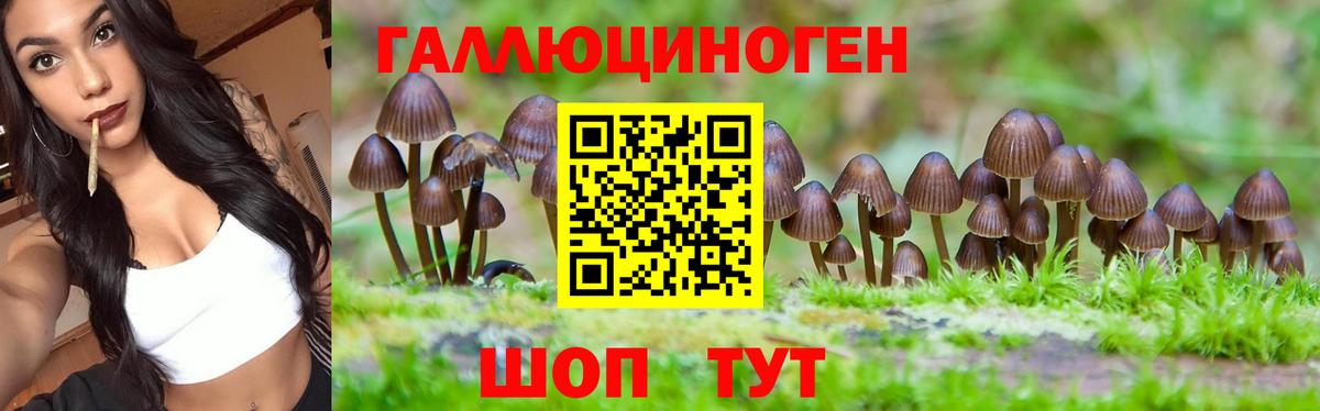 Галлюциногенные грибы MAGIC MUSHROOMS  Вход с VPN  Псилоцибиновые грибы Magic Shrooms  Приморско-Ахтарск 